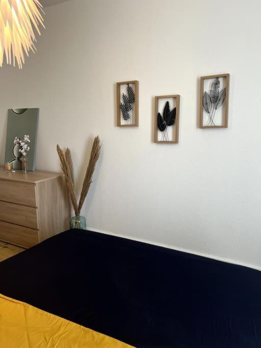 Appartement Cosy Et Lumineux Avec Parking Gratuit Colmar Ngoại thất bức ảnh