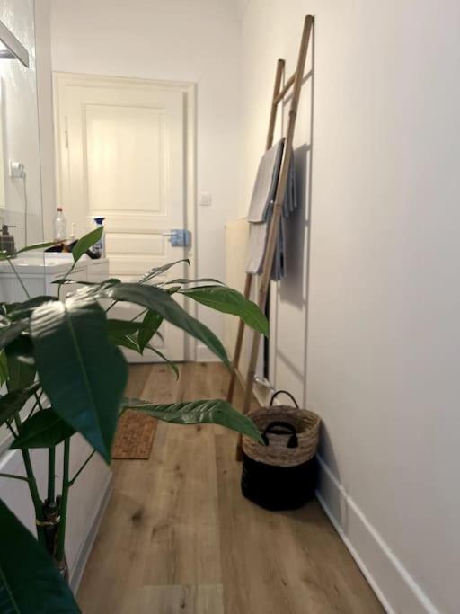 Appartement Cosy Et Lumineux Avec Parking Gratuit Colmar Ngoại thất bức ảnh