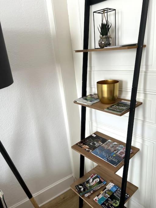 Appartement Cosy Et Lumineux Avec Parking Gratuit Colmar Ngoại thất bức ảnh