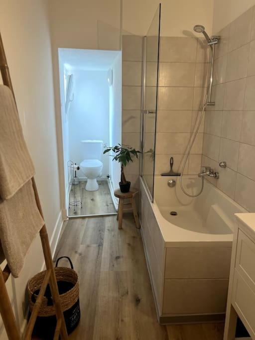 Appartement Cosy Et Lumineux Avec Parking Gratuit Colmar Ngoại thất bức ảnh