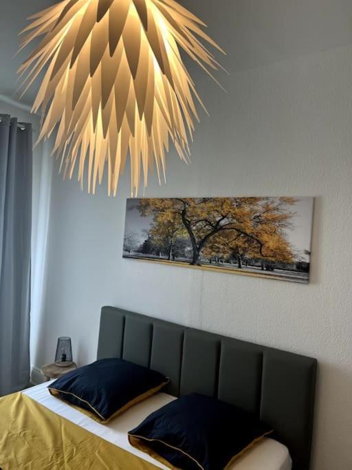 Appartement Cosy Et Lumineux Avec Parking Gratuit Colmar Ngoại thất bức ảnh